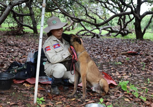 A Belgian Shepherd Malinois explosive detection dog and his handler.