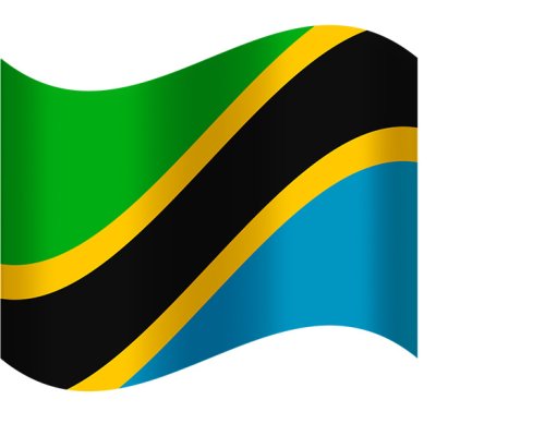 Tanzania flag.