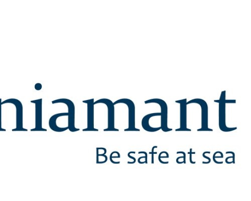 Logo Daniamant.